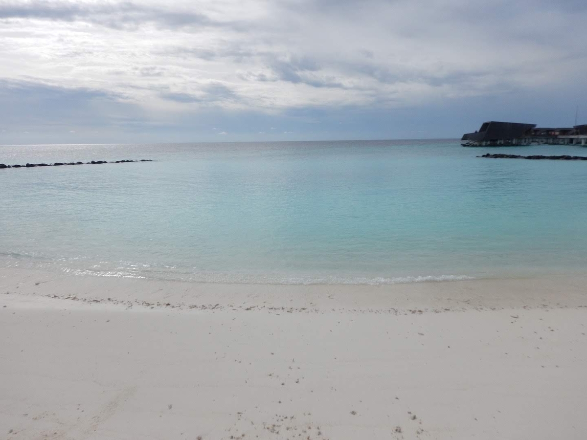 f:id:saotrip:20191115211814j:plain f:id:saotrip:20191115211814j:plain