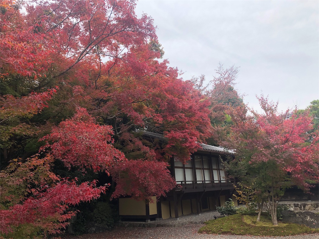f:id:saotrip:20191122143016j:image f:id:saotrip:20191122143016j:image