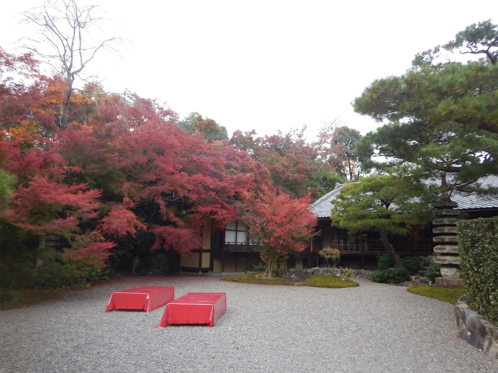 f:id:saotrip:20191122143023j:image f:id:saotrip:20191122143023j:image