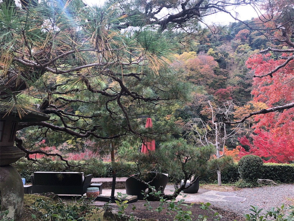 f:id:saotrip:20191122143211j:image f:id:saotrip:20191122143211j:image