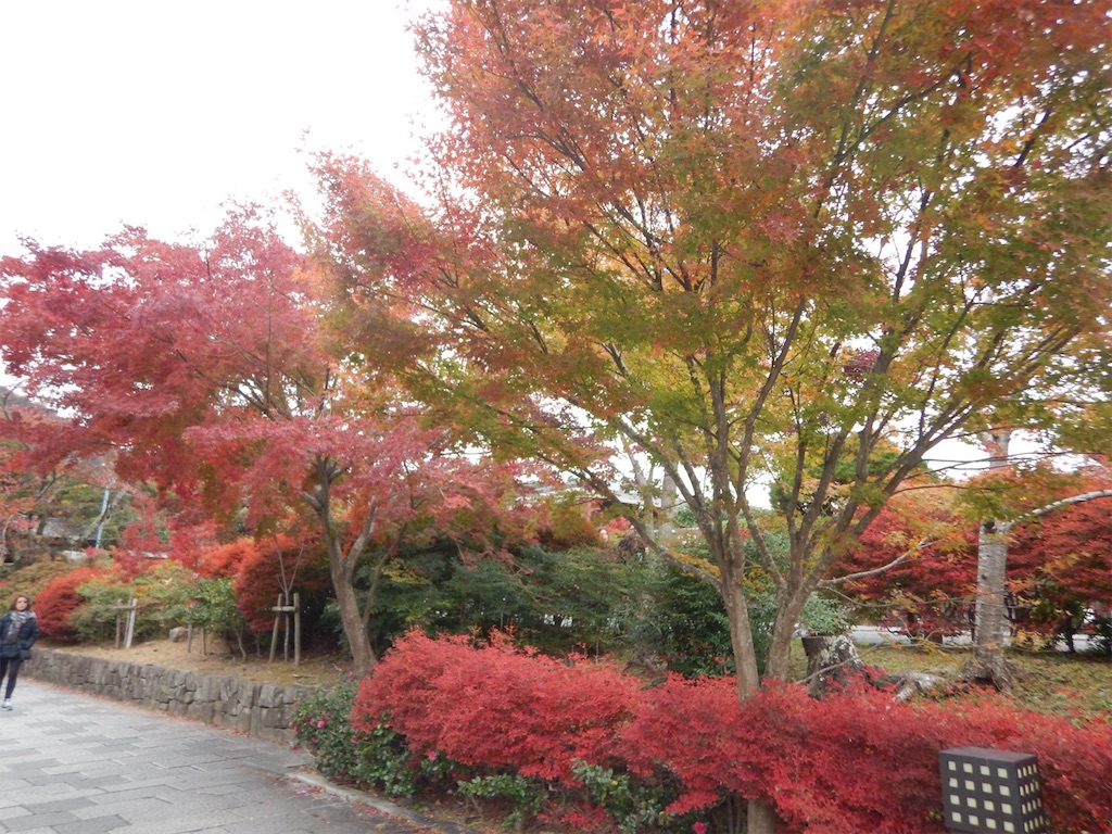 f:id:saotrip:20191122144519j:image f:id:saotrip:20191122144519j:image