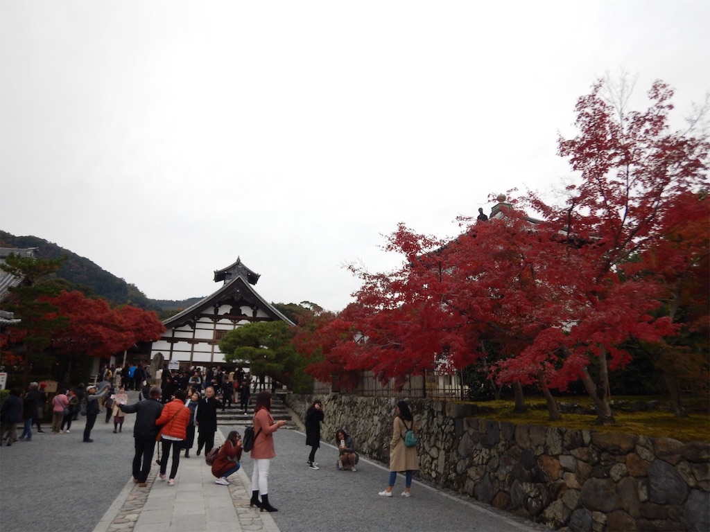 f:id:saotrip:20191122145134j:image f:id:saotrip:20191122145134j:image