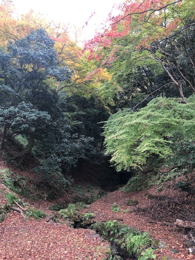 f:id:saotrip:20191122145452j:image f:id:saotrip:20191122145452j:image