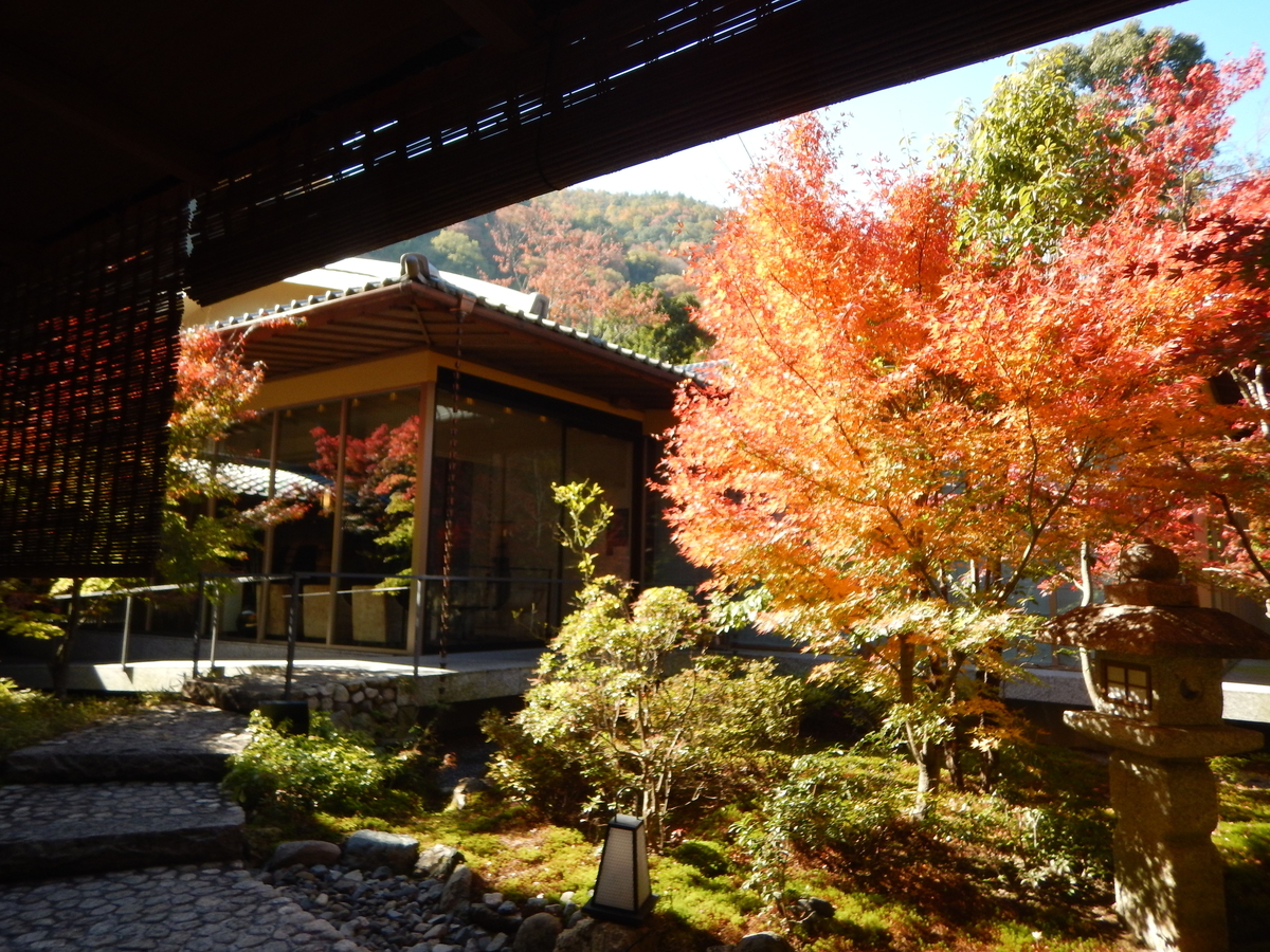 f:id:saotrip:20191123205437j:plain f:id:saotrip:20191123205437j:plain