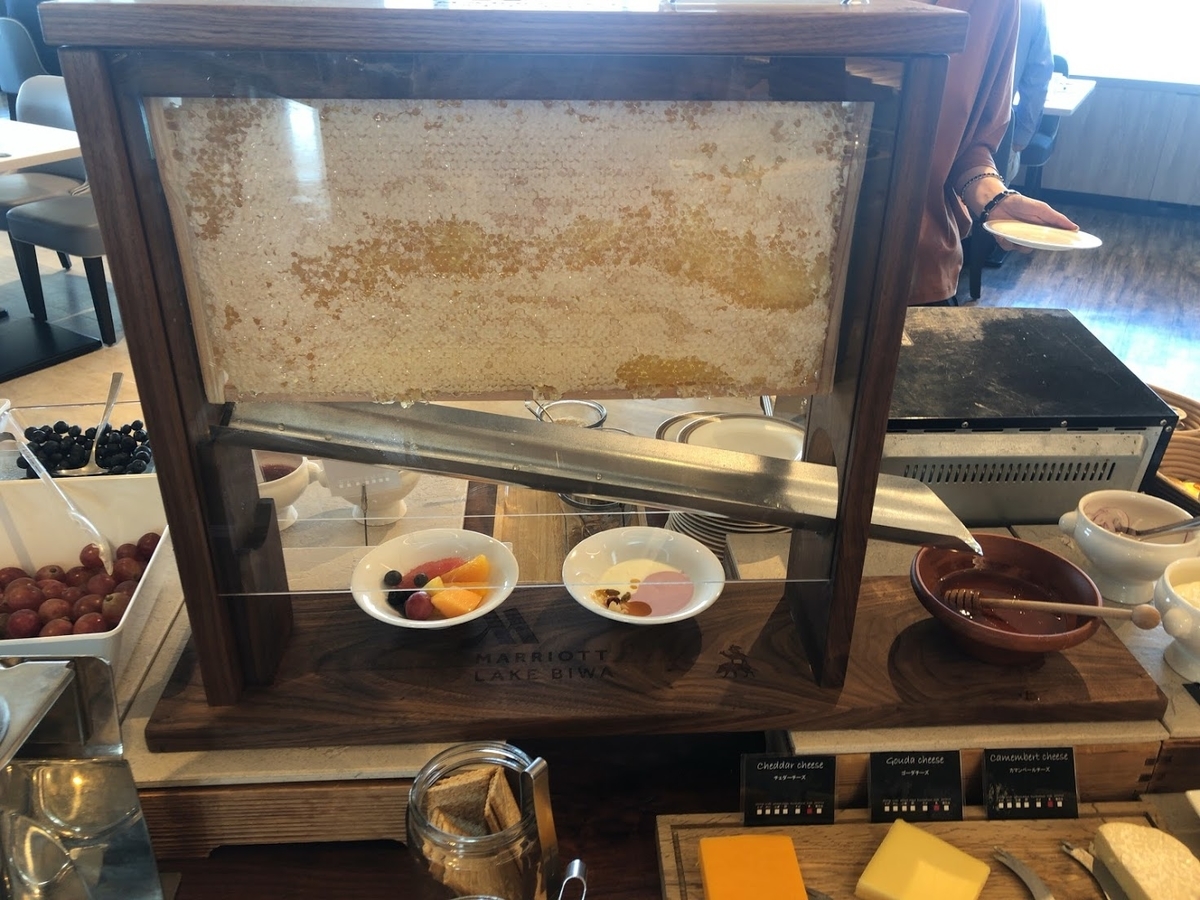 f:id:saotrip:20191129231834j:plain f:id:saotrip:20191129231834j:plain