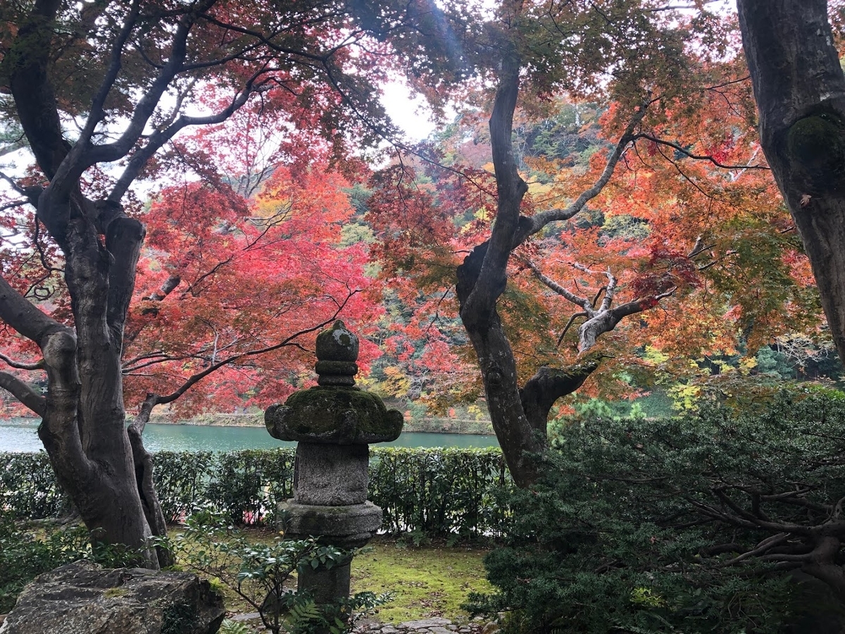 f:id:saotrip:20191201192834j:plain f:id:saotrip:20191201192834j:plain