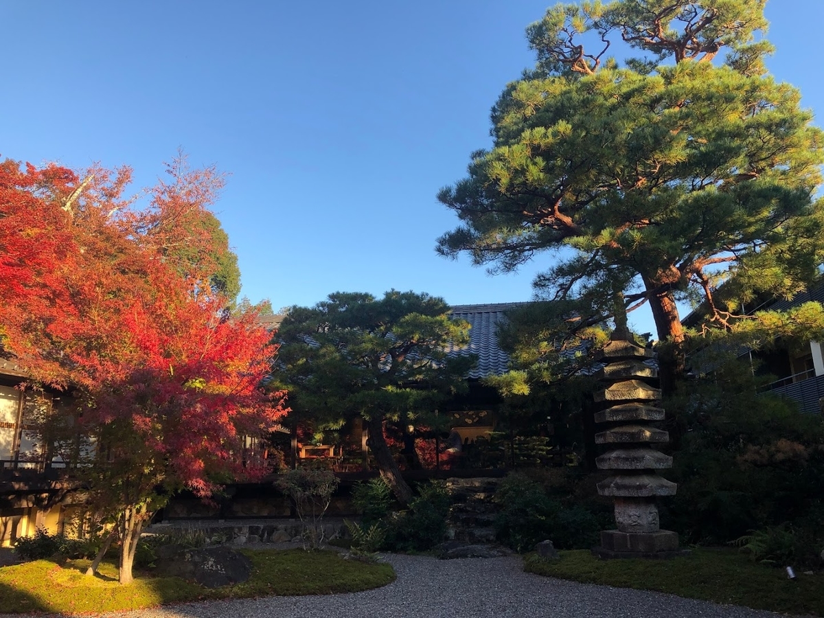 f:id:saotrip:20191201192902j:plain f:id:saotrip:20191201192902j:plain