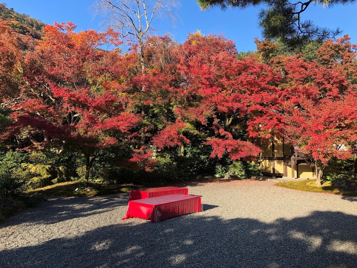 f:id:saotrip:20191201195010j:plain f:id:saotrip:20191201195010j:plain