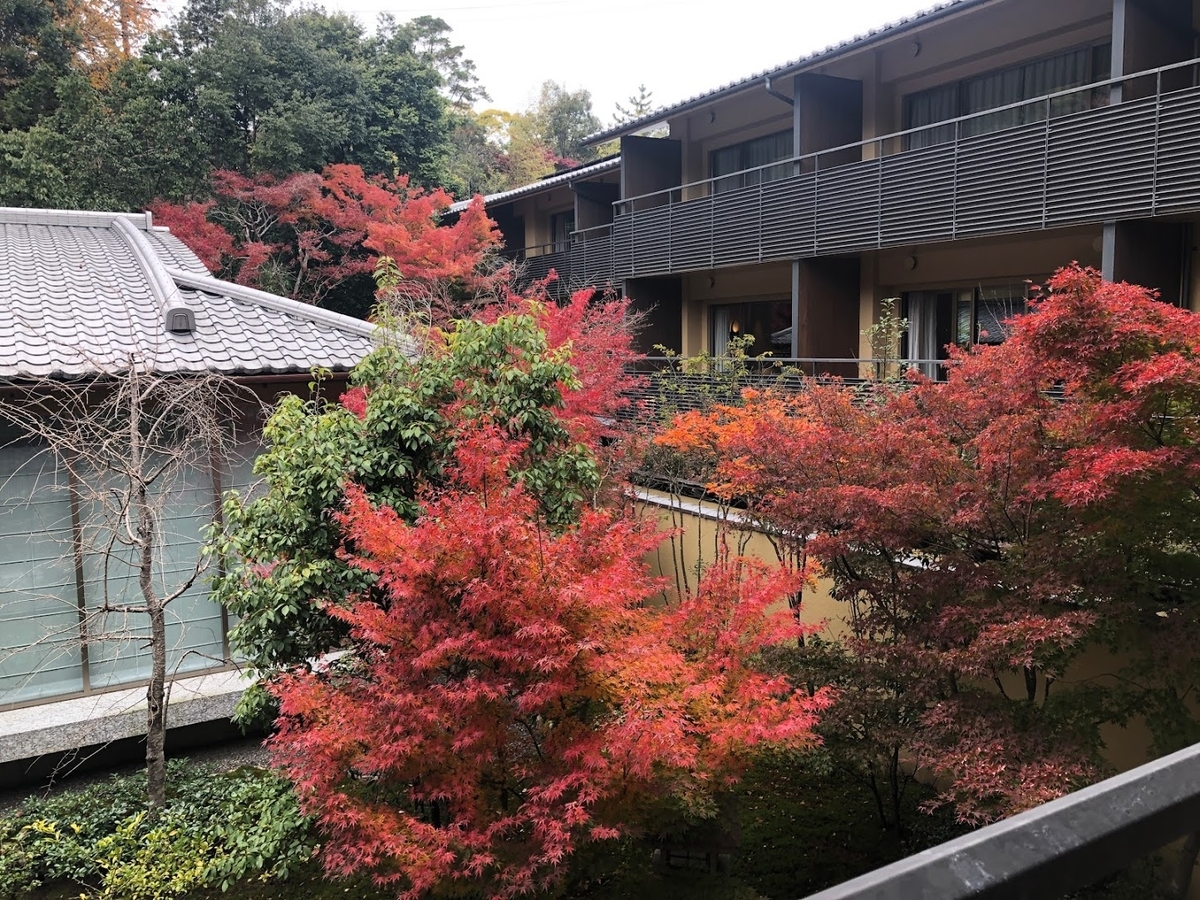 f:id:saotrip:20191201204340j:plain f:id:saotrip:20191201204340j:plain