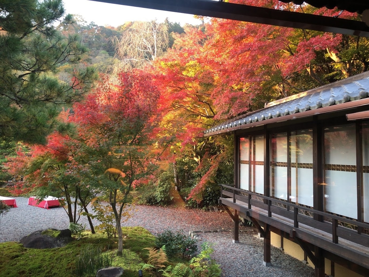 f:id:saotrip:20191201215531j:plain f:id:saotrip:20191201215531j:plain