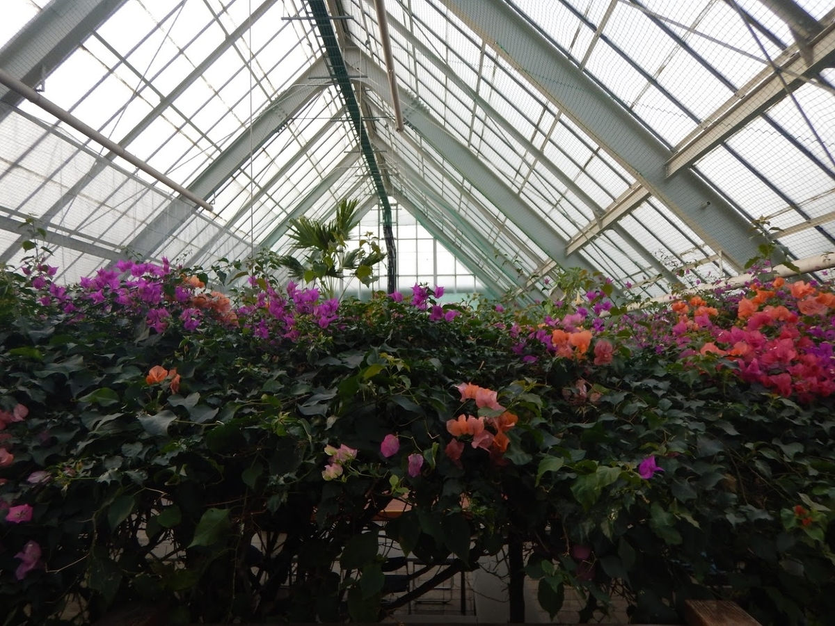 f:id:saotrip:20191217200608j:plain f:id:saotrip:20191217200608j:plain
