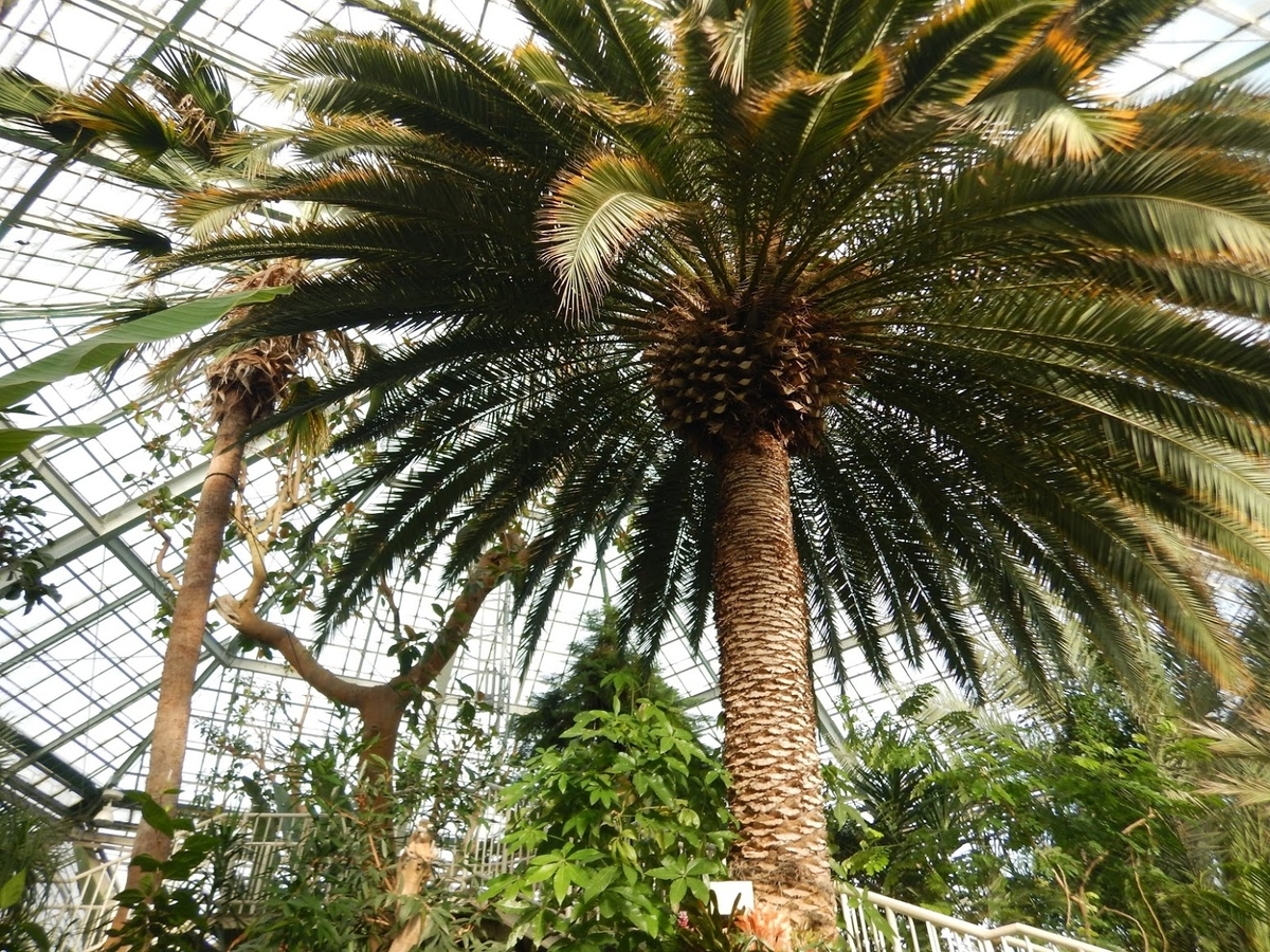 f:id:saotrip:20191217200614j:plain f:id:saotrip:20191217200614j:plain
