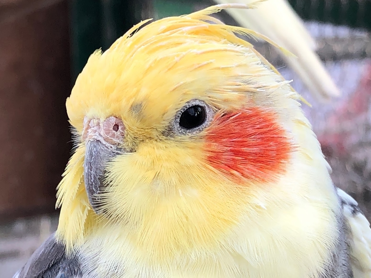 f:id:saotrip:20191217200710j:plain f:id:saotrip:20191217200710j:plain