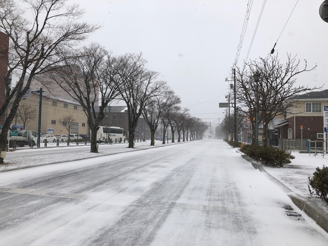 f:id:saotrip:20191219215218j:plain f:id:saotrip:20191219215218j:plain