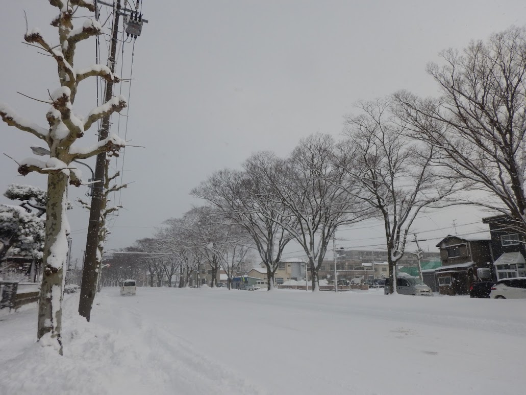 f:id:saotrip:20191220231420j:plain f:id:saotrip:20191220231420j:plain