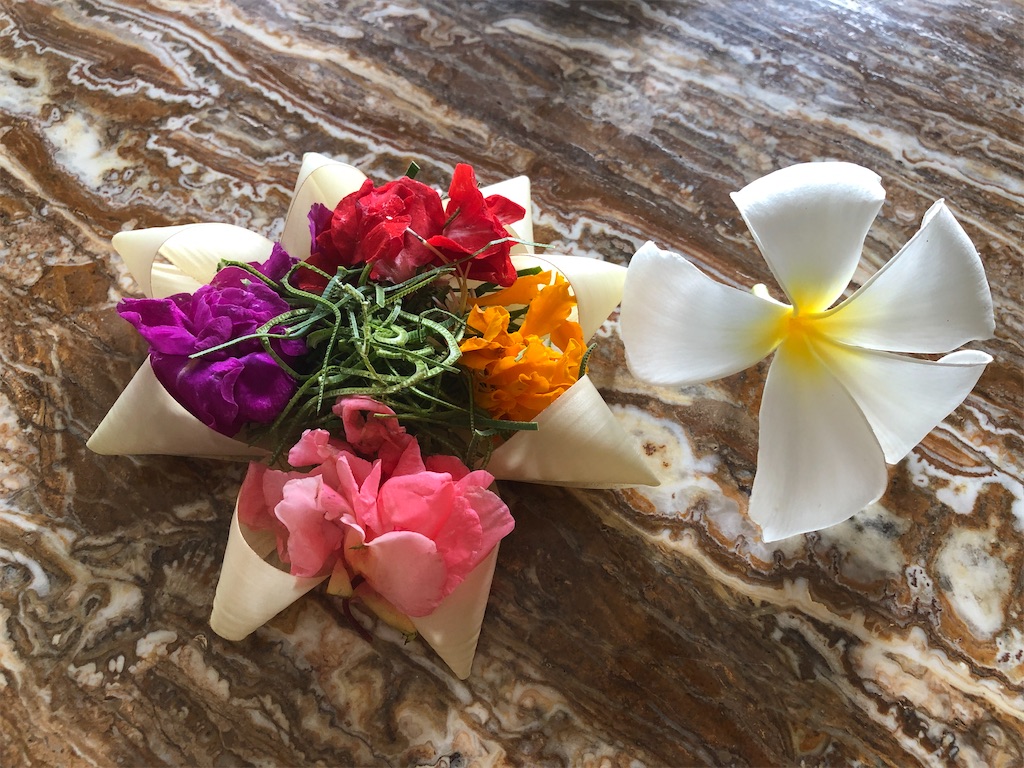 f:id:saotrip:20191231120842j:image f:id:saotrip:20191231120842j:image