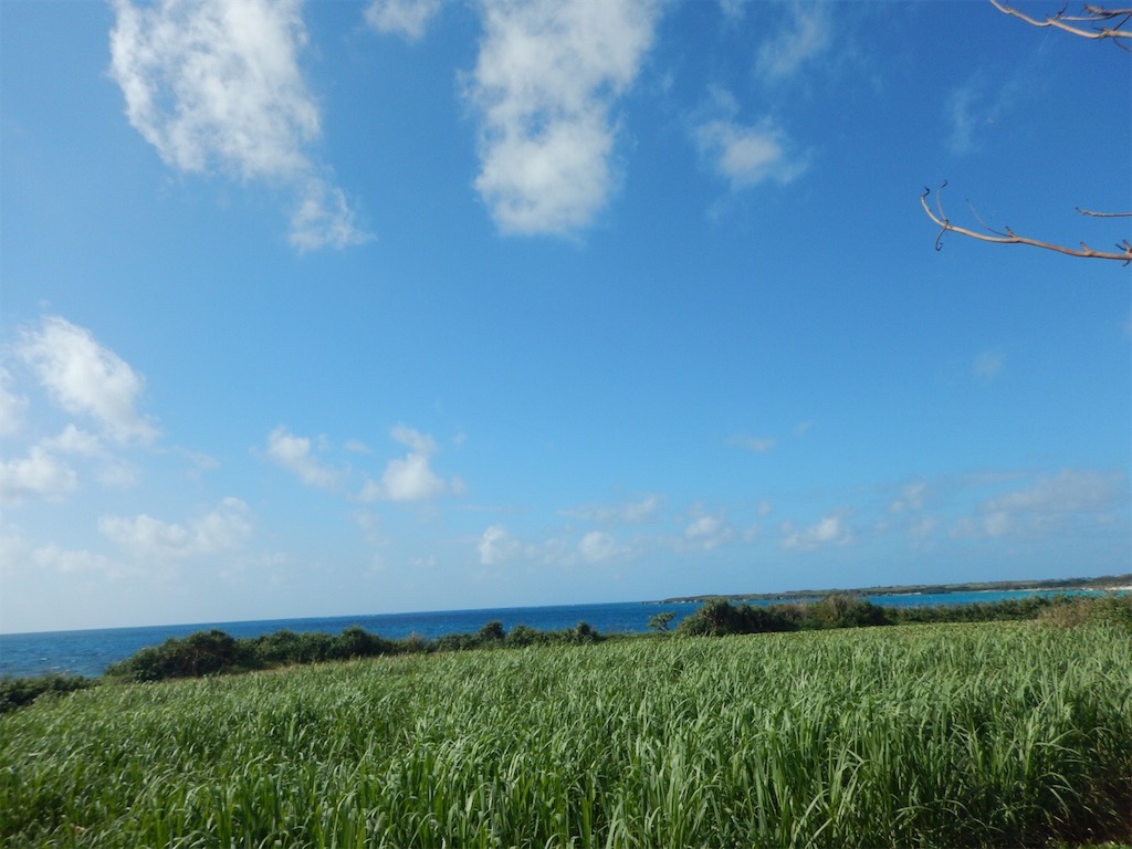 f:id:saotrip:20200107165617j:image f:id:saotrip:20200107165617j:image