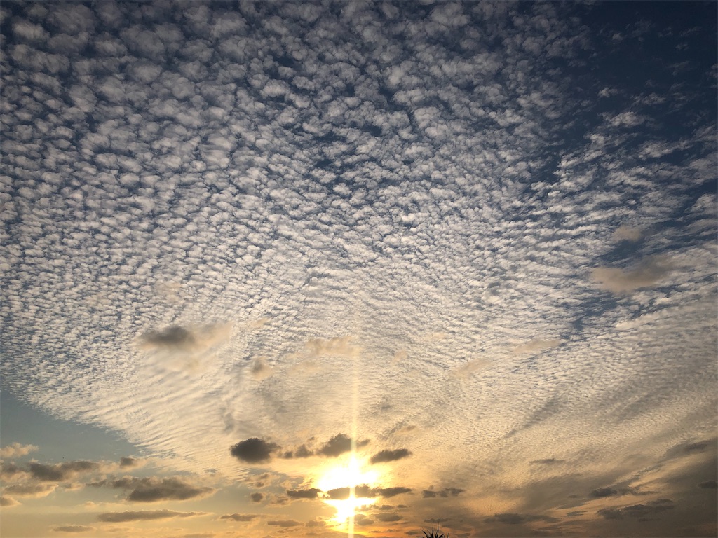 f:id:saotrip:20200108144809j:image f:id:saotrip:20200108144809j:image