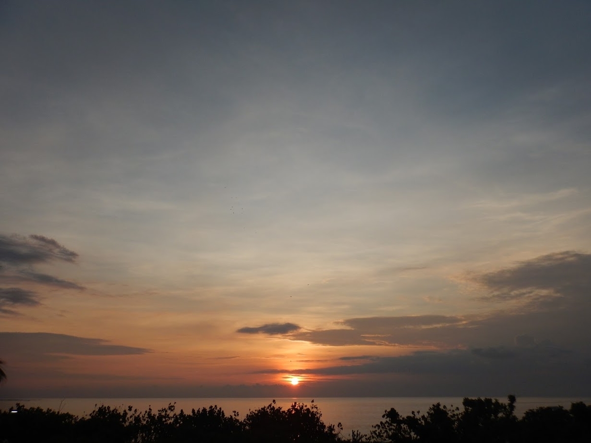 f:id:saotrip:20200110224855j:plain