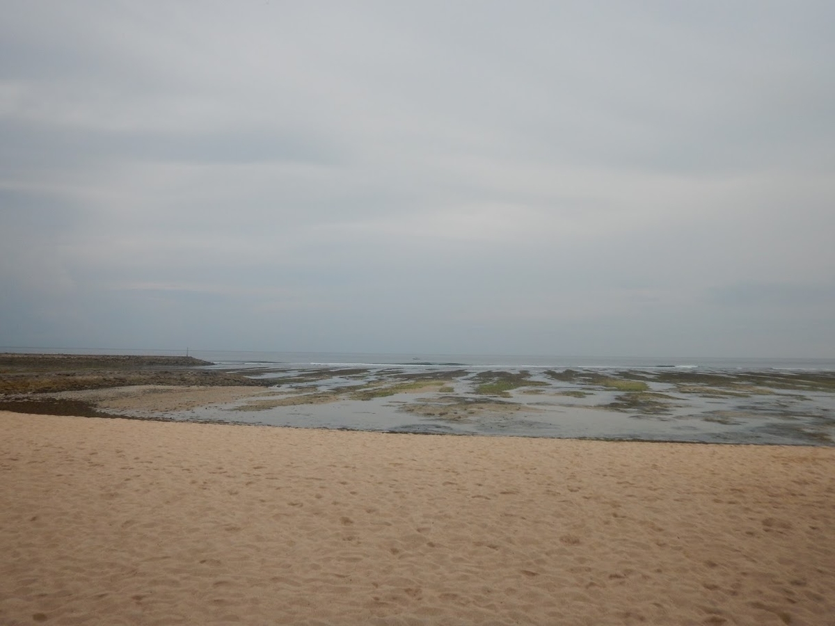 f:id:saotrip:20200117143056j:plain f:id:saotrip:20200117143056j:plain