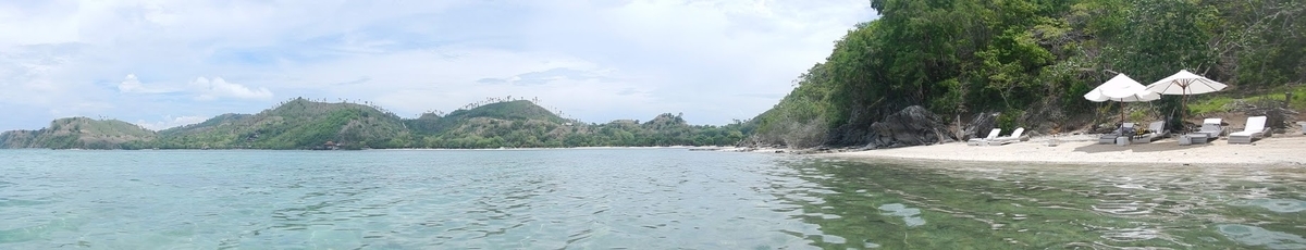f:id:saotrip:20200118183303j:plain f:id:saotrip:20200118183303j:plain