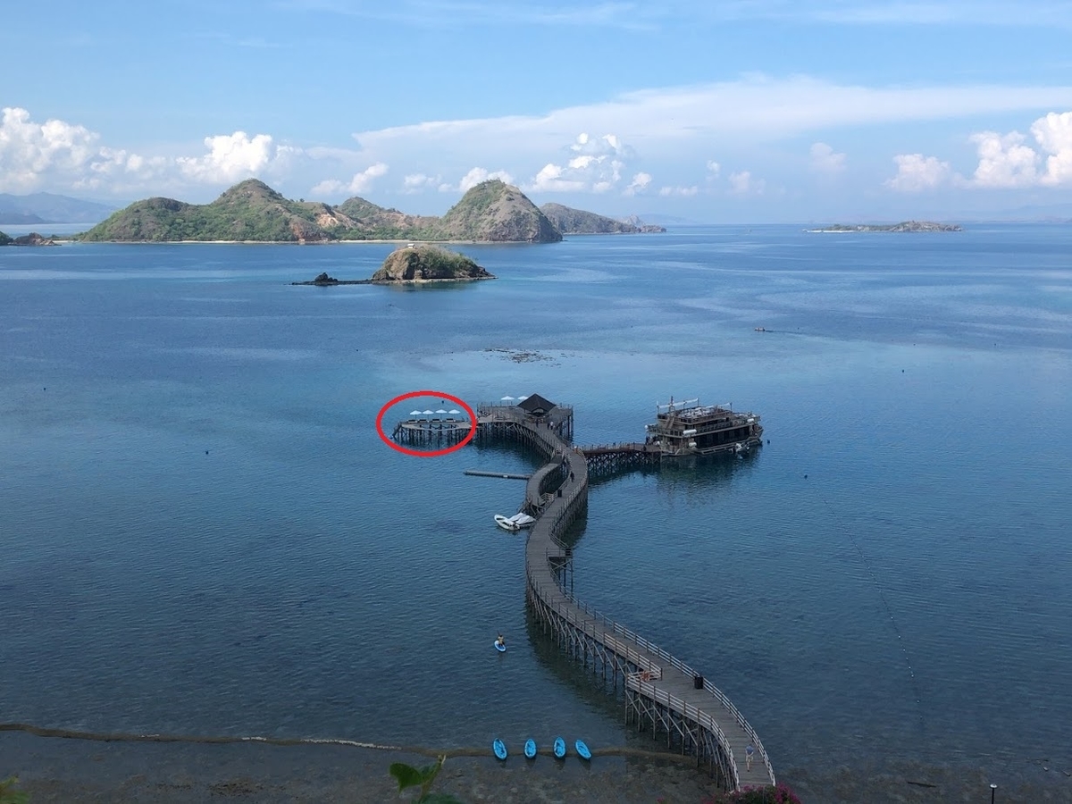 f:id:saotrip:20200118190900j:plain f:id:saotrip:20200118190900j:plain