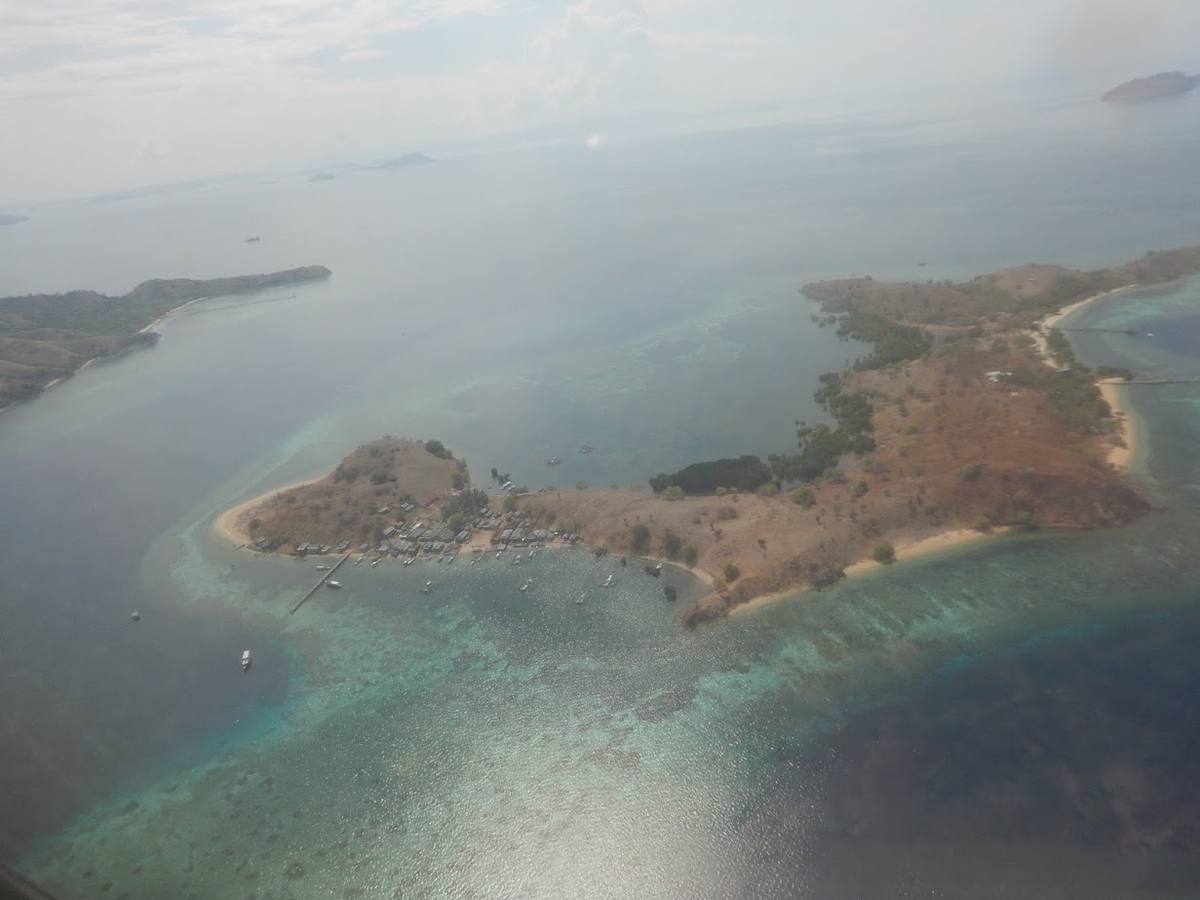 f:id:saotrip:20200120214943j:plain f:id:saotrip:20200120214943j:plain