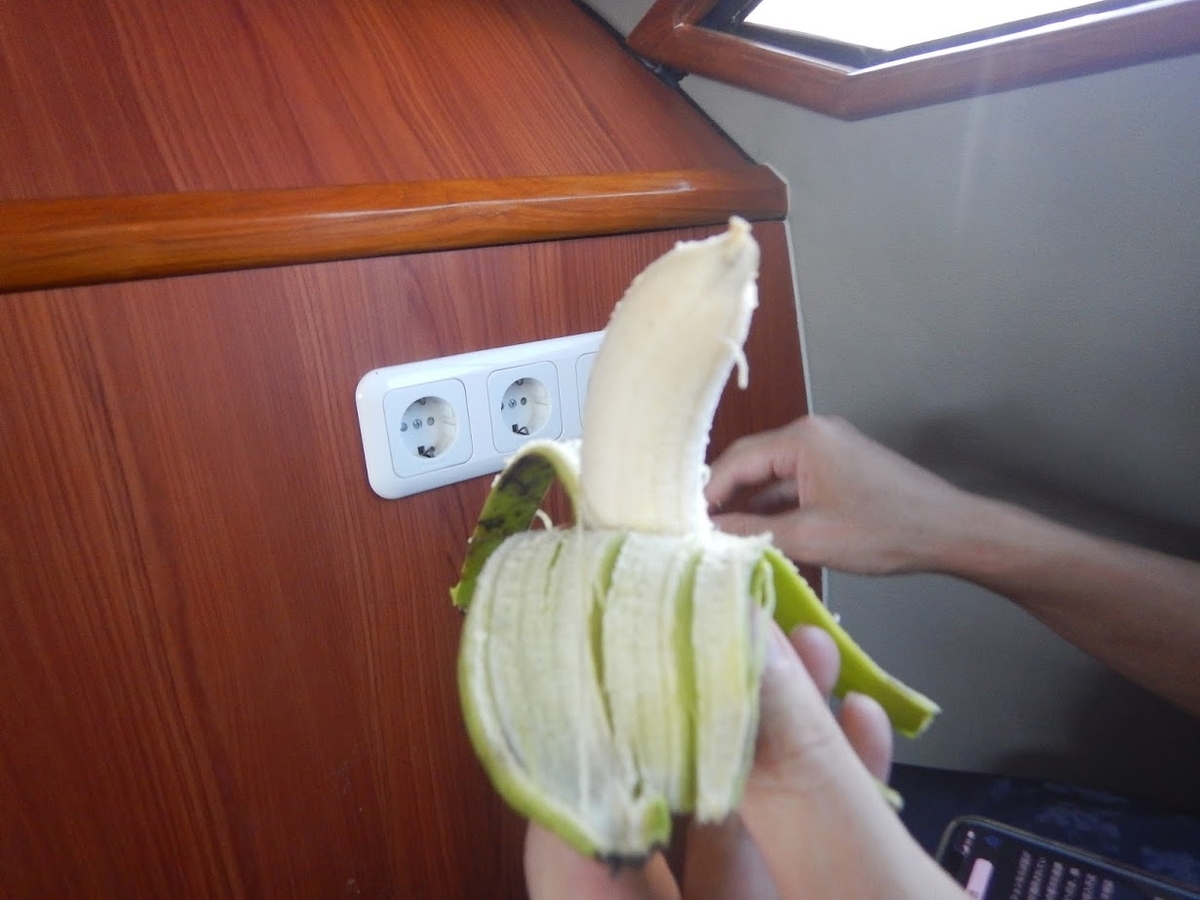 f:id:saotrip:20200122215415j:plain f:id:saotrip:20200122215415j:plain