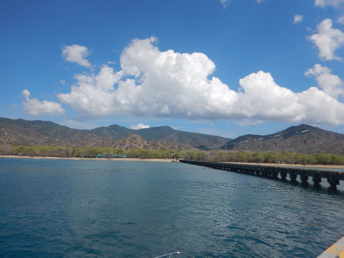 f:id:saotrip:20200122224600j:plain f:id:saotrip:20200122224600j:plain
