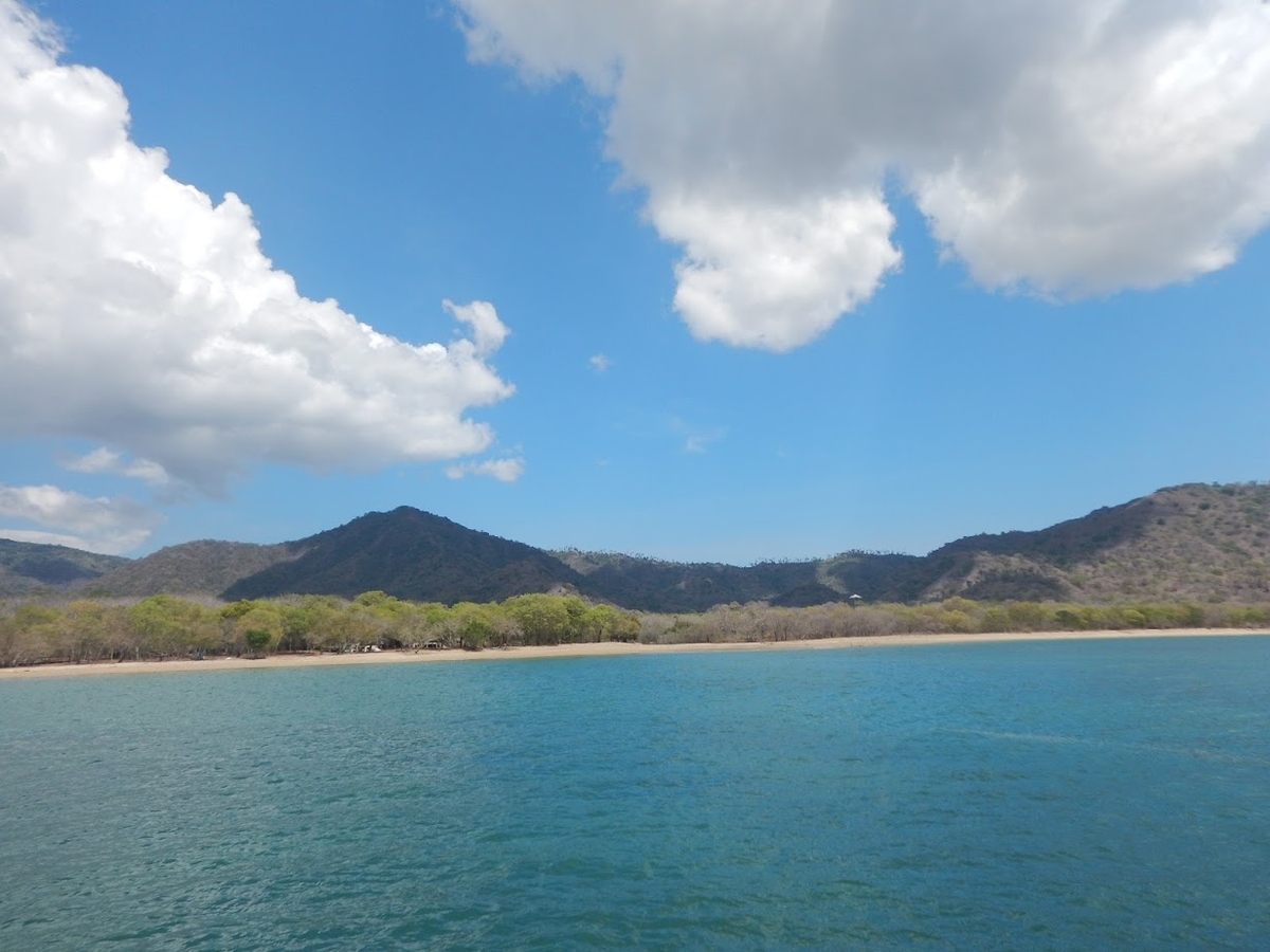 f:id:saotrip:20200123110124j:plain f:id:saotrip:20200123110124j:plain