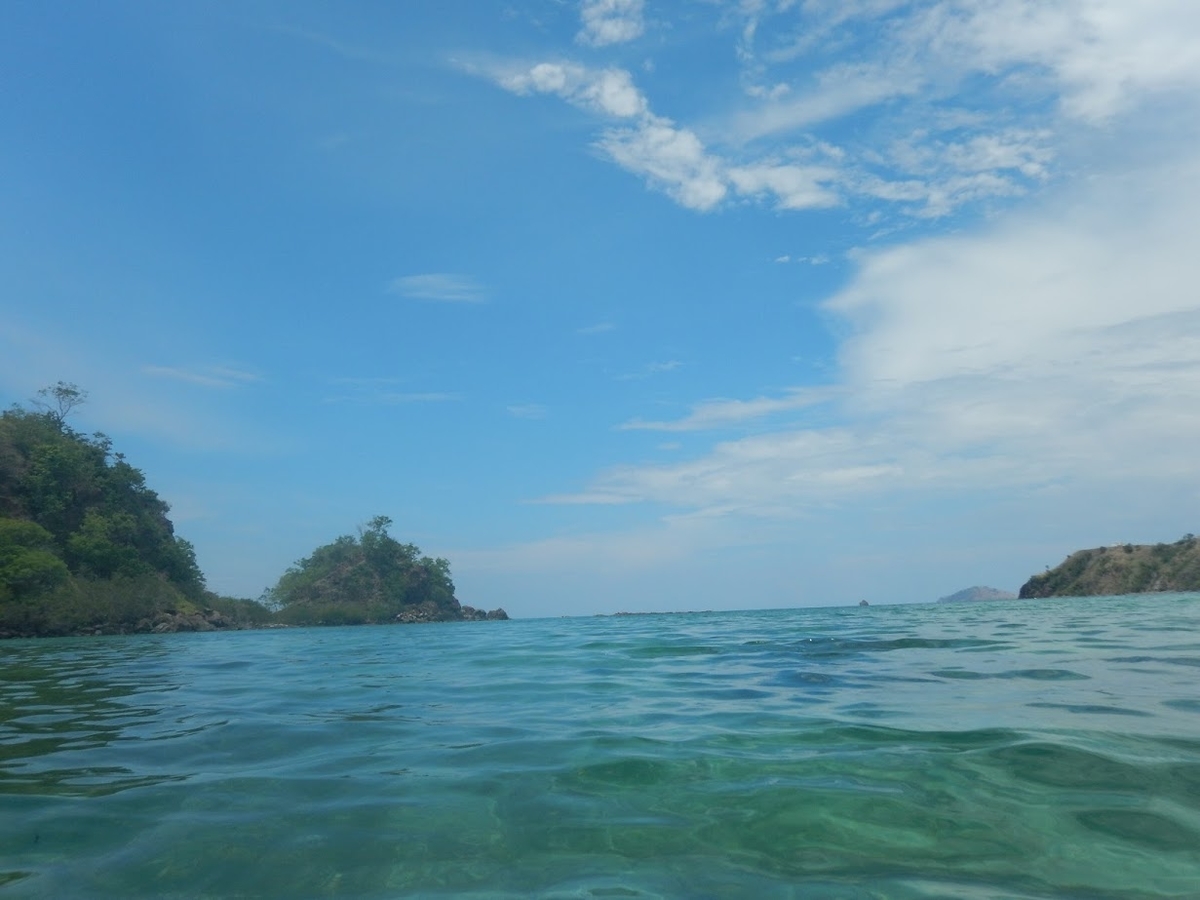 f:id:saotrip:20200125221559j:plain f:id:saotrip:20200125221559j:plain