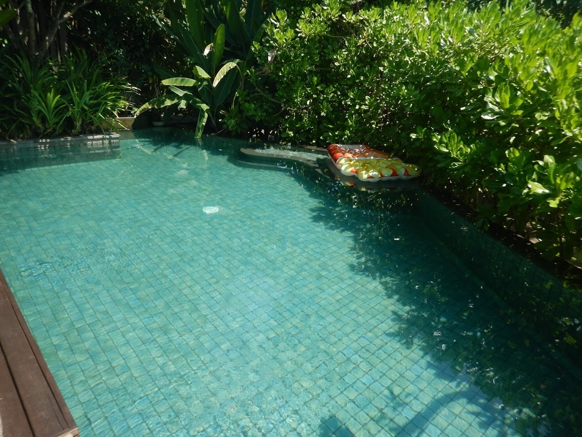 f:id:saotrip:20200205214510j:plain f:id:saotrip:20200205214510j:plain