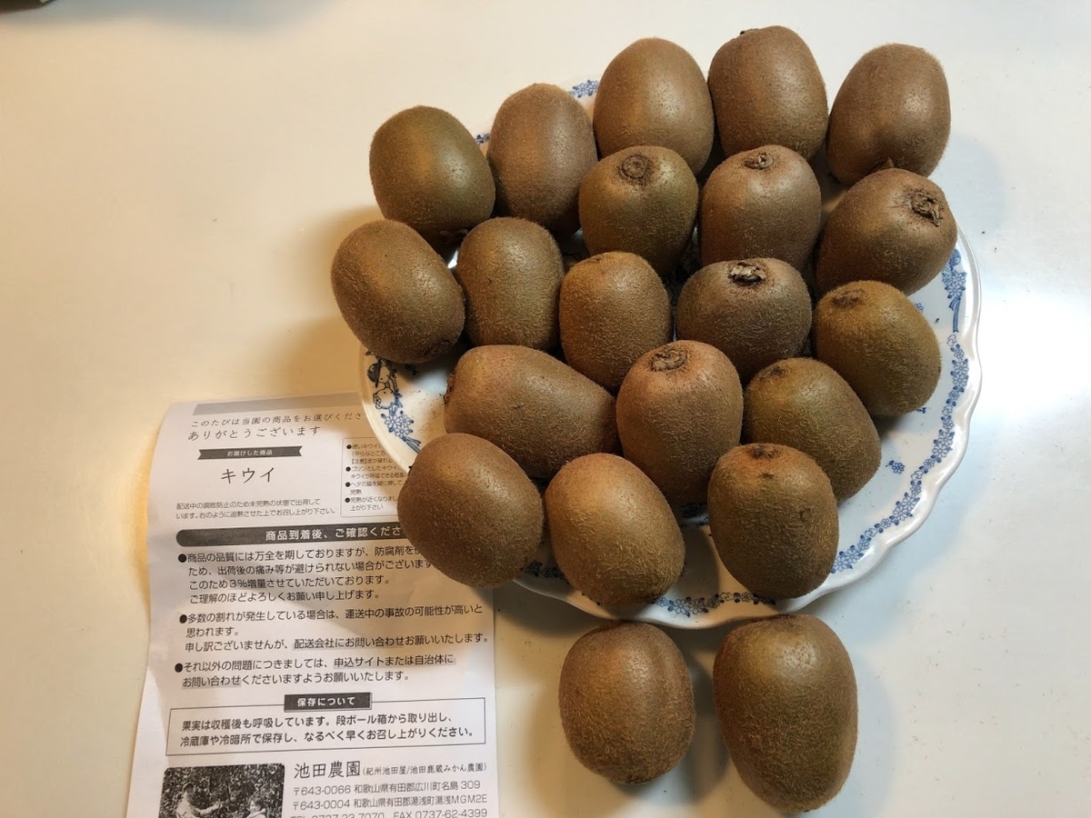 f:id:saotrip:20200225093318j:plain f:id:saotrip:20200225093318j:plain