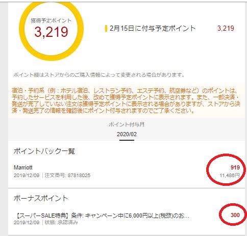 f:id:saotrip:20200301213140j:plain f:id:saotrip:20200301213140j:plain