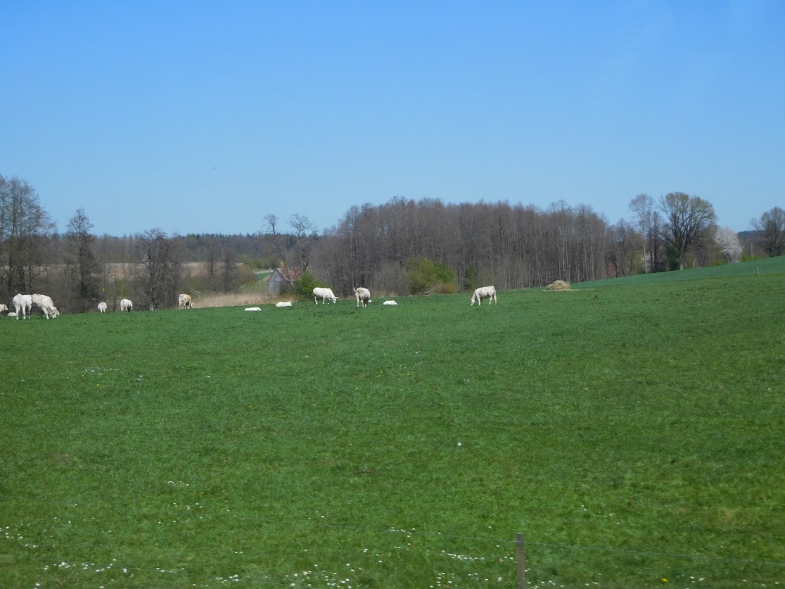 f:id:saotrip:20200412215910j:plain f:id:saotrip:20200412215910j:plain