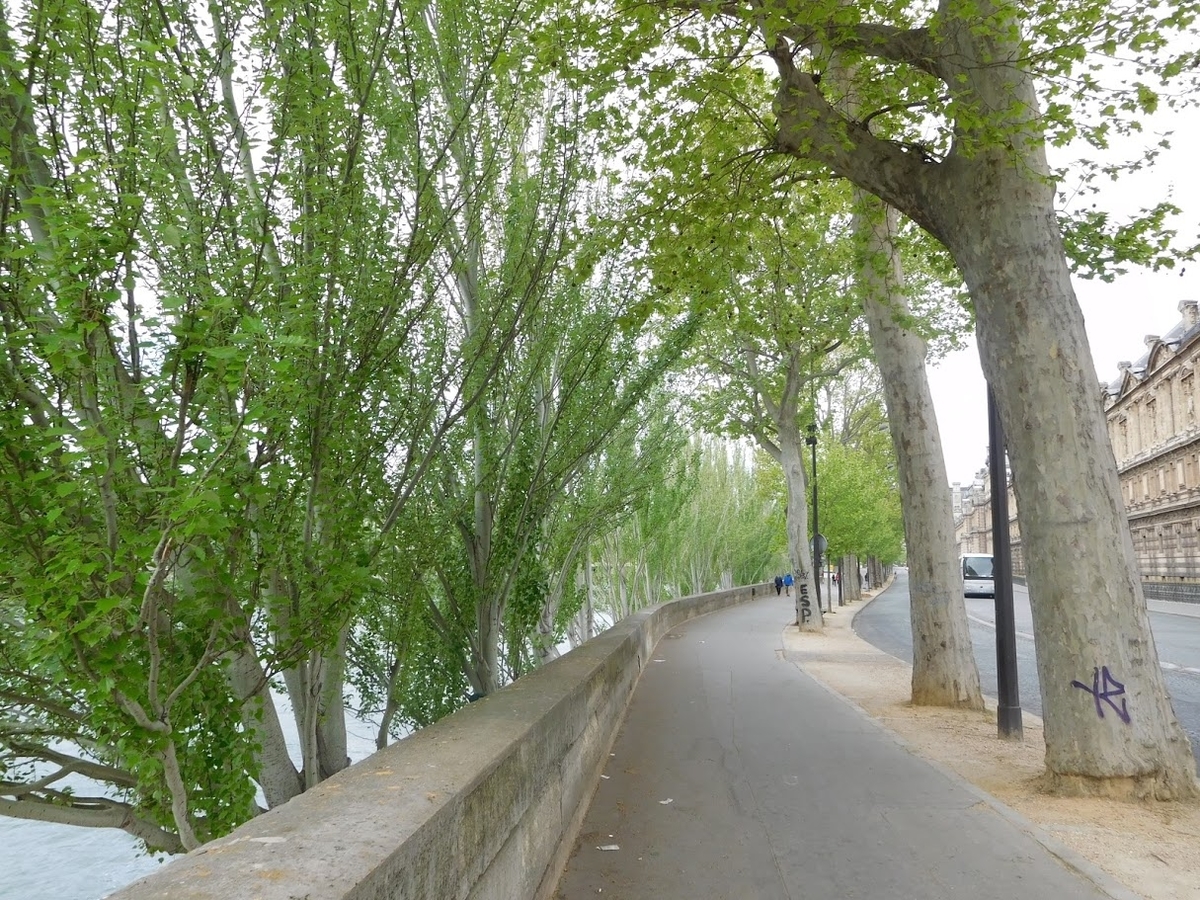 f:id:saotrip:20200422205840j:plain