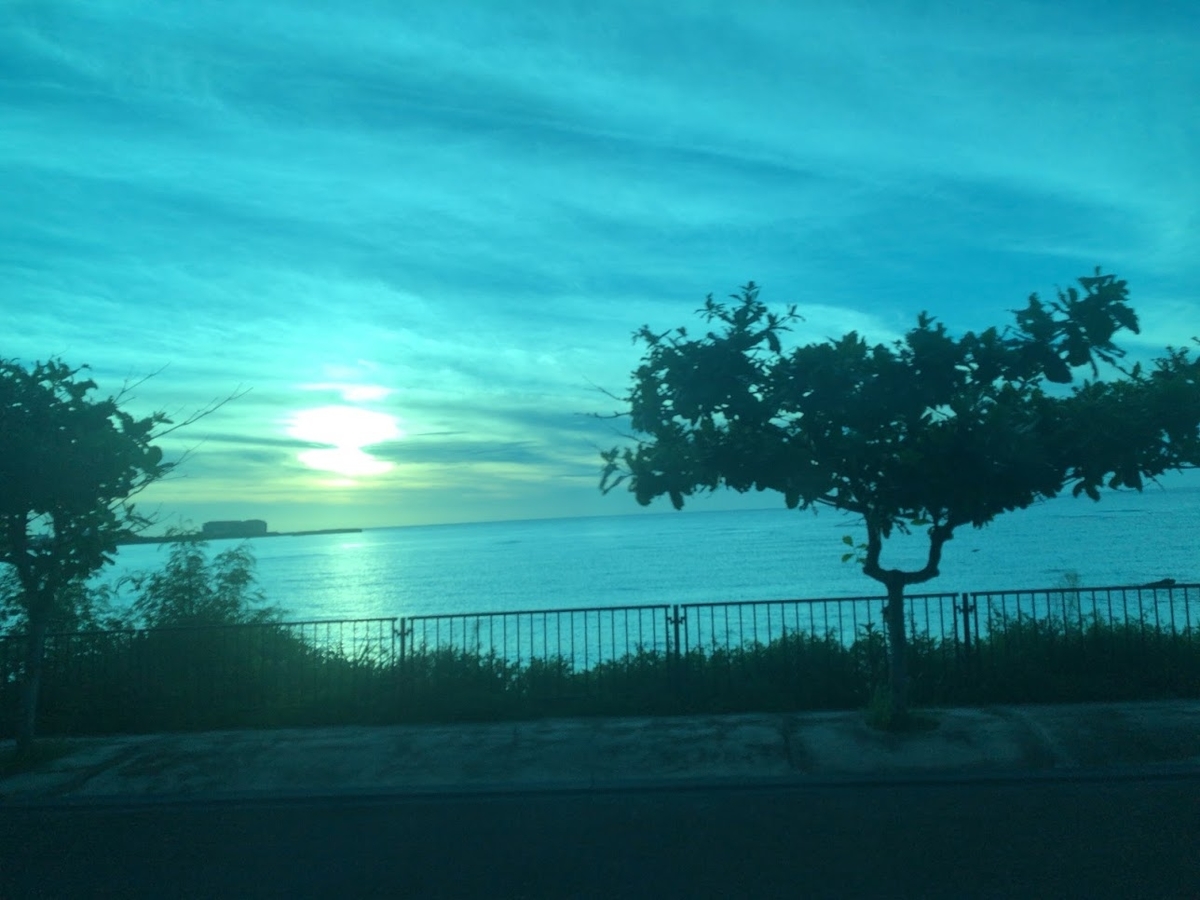 f:id:saotrip:20200715215529j:plain f:id:saotrip:20200715215529j:plain