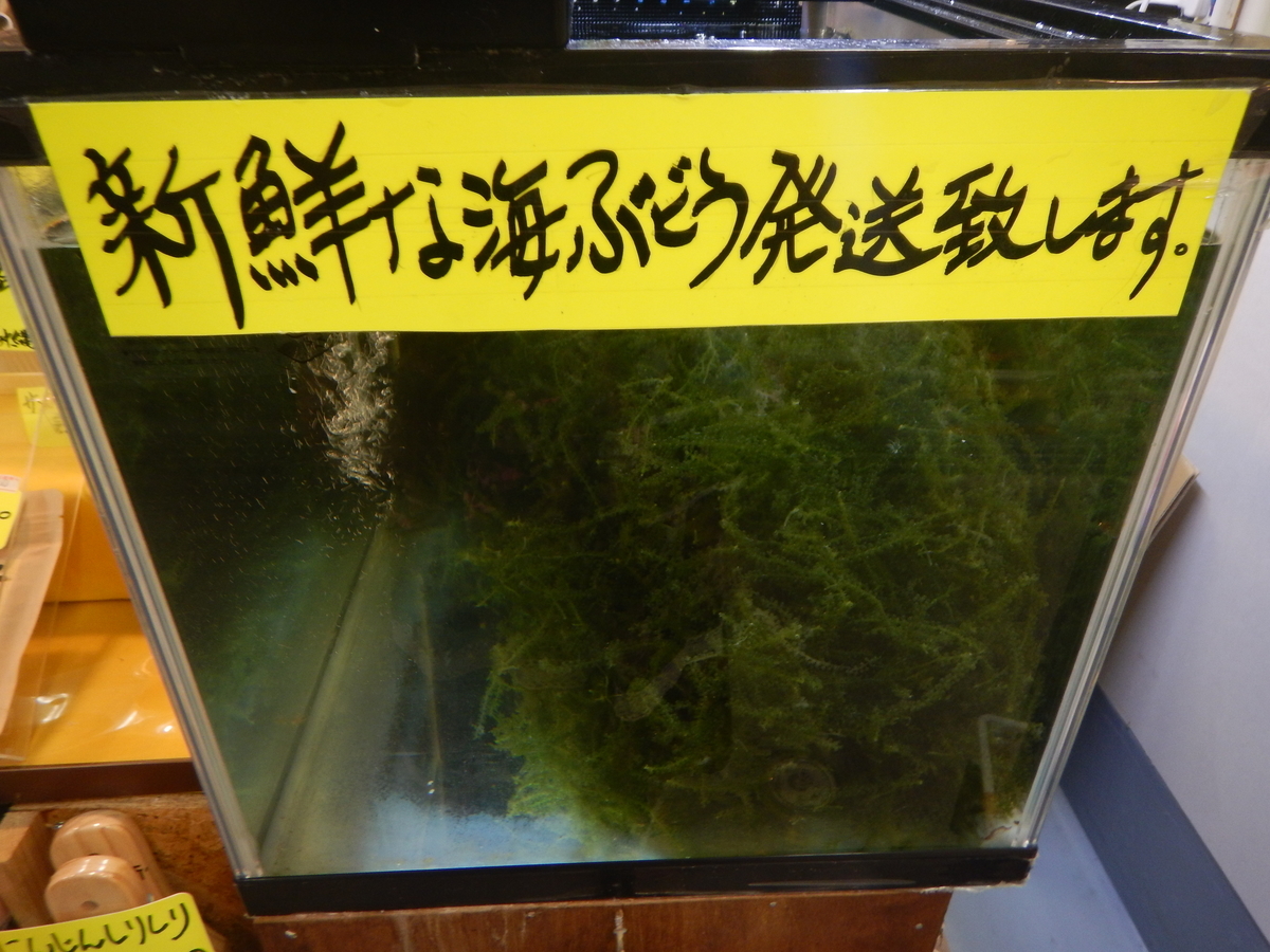 f:id:saotrip:20200724213107j:plain f:id:saotrip:20200724213107j:plain
