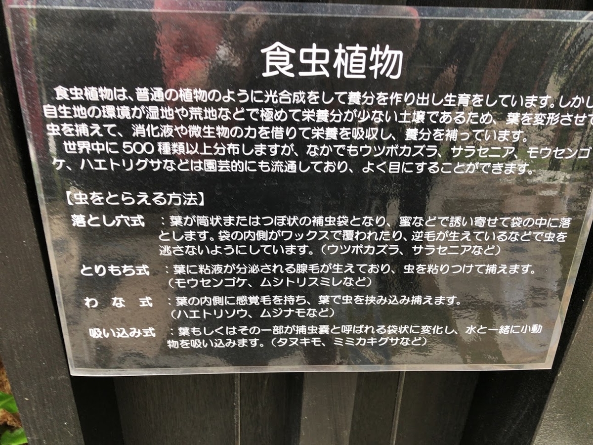 f:id:saotrip:20200806223805j:plain