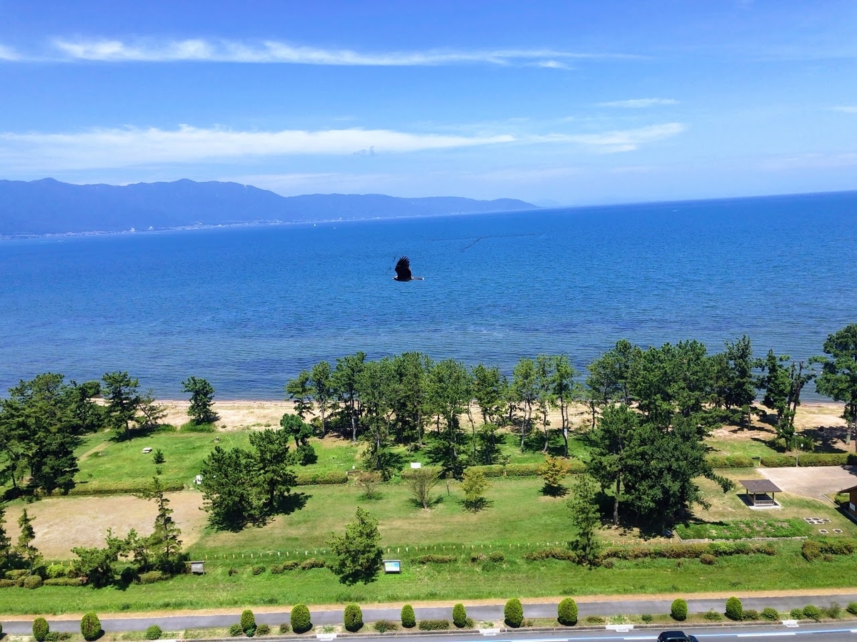 f:id:saotrip:20200818224840j:plain f:id:saotrip:20200818224840j:plain