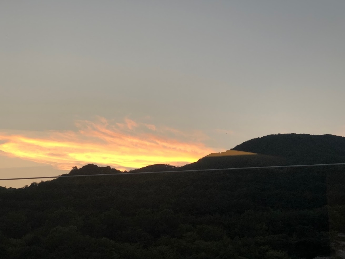 f:id:saotrip:20200902155322j:plain f:id:saotrip:20200902155322j:plain
