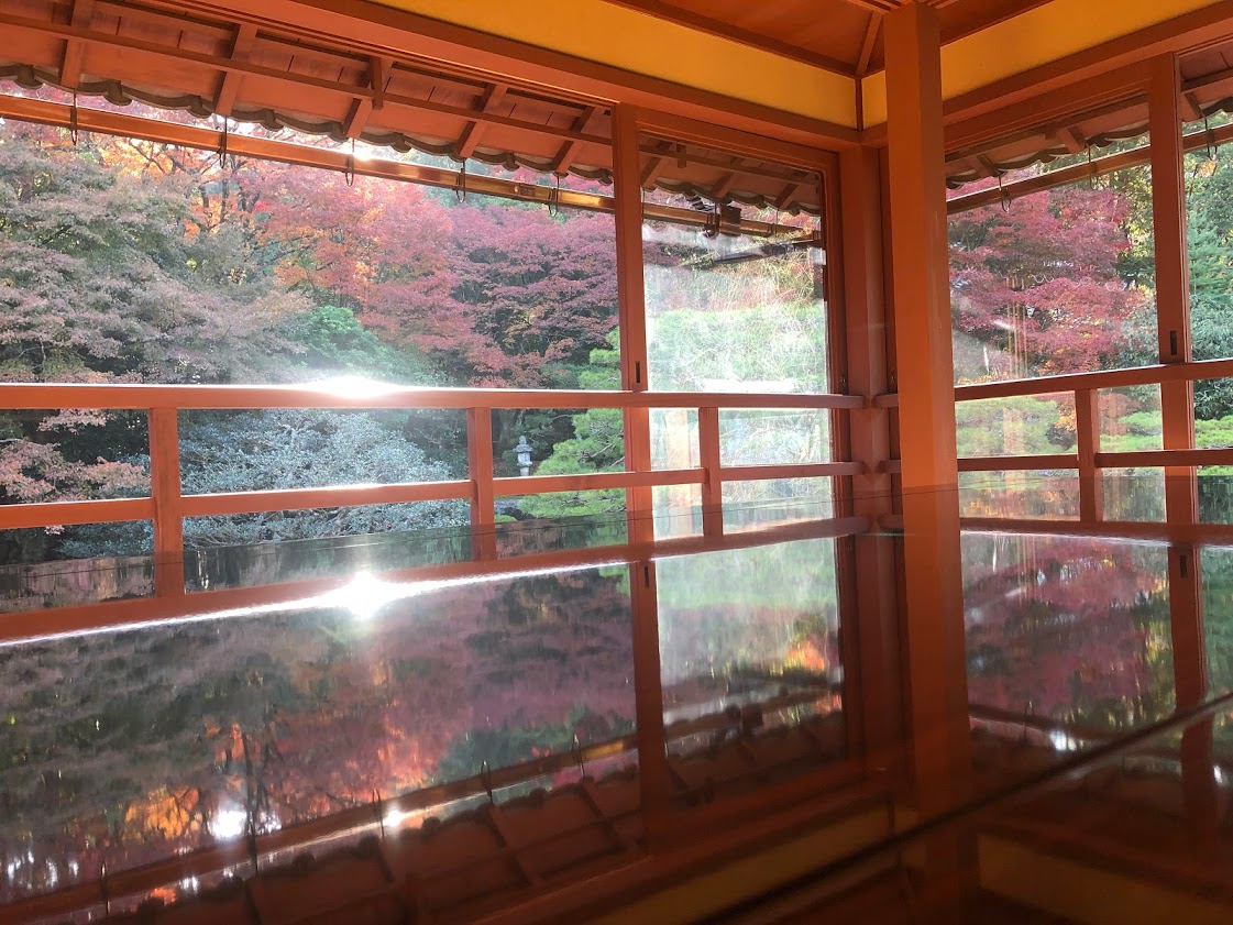 f:id:saotrip:20201118223751j:plain