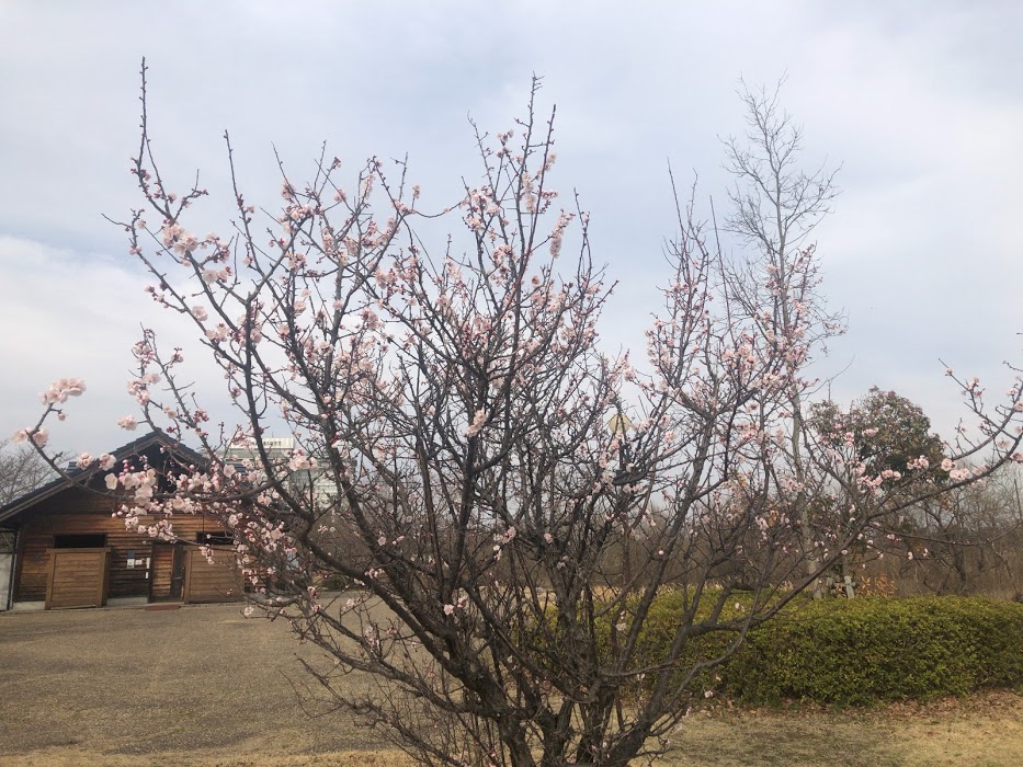 f:id:saotrip:20210314214340j:plain