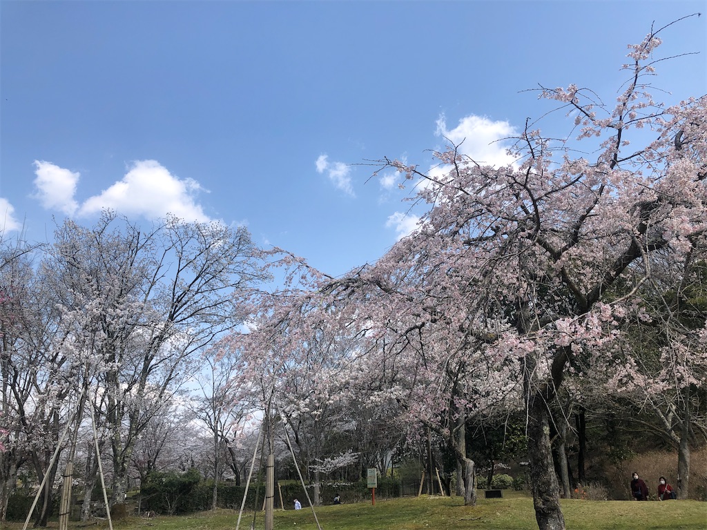 f:id:saotrip:20210326160906j:image f:id:saotrip:20210326160906j:image