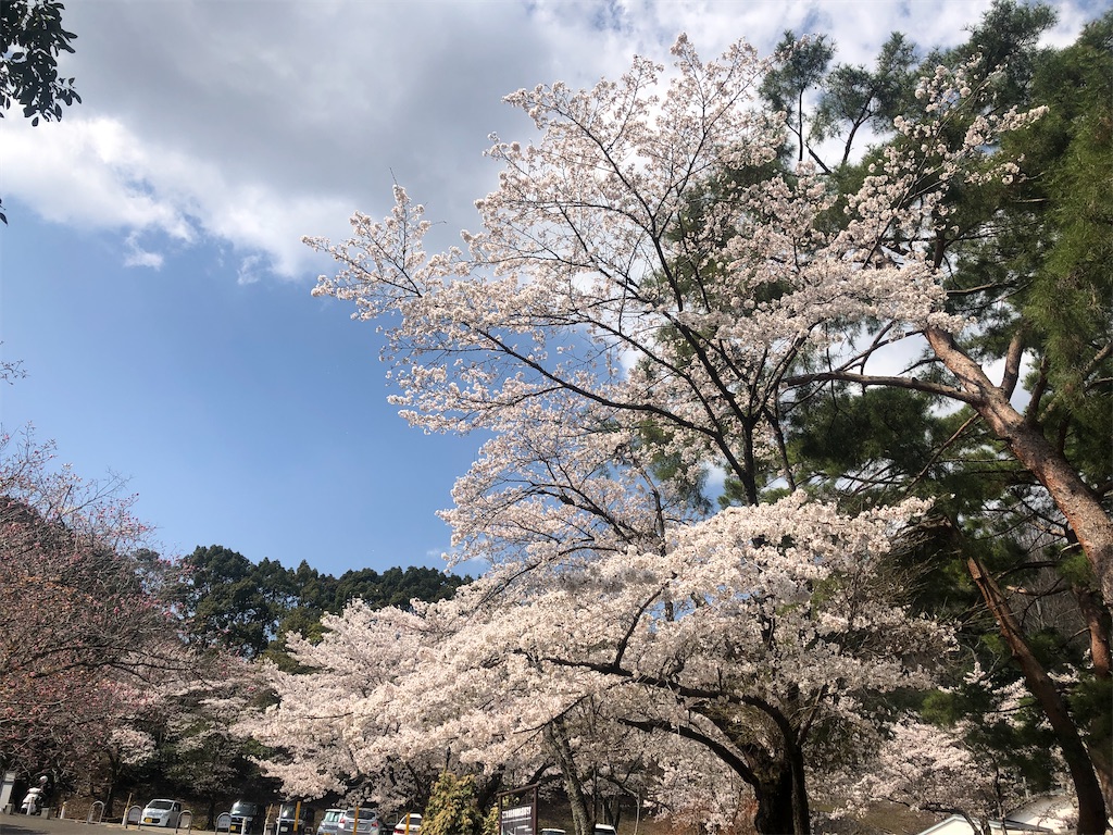 f:id:saotrip:20210326161153j:image f:id:saotrip:20210326161153j:image