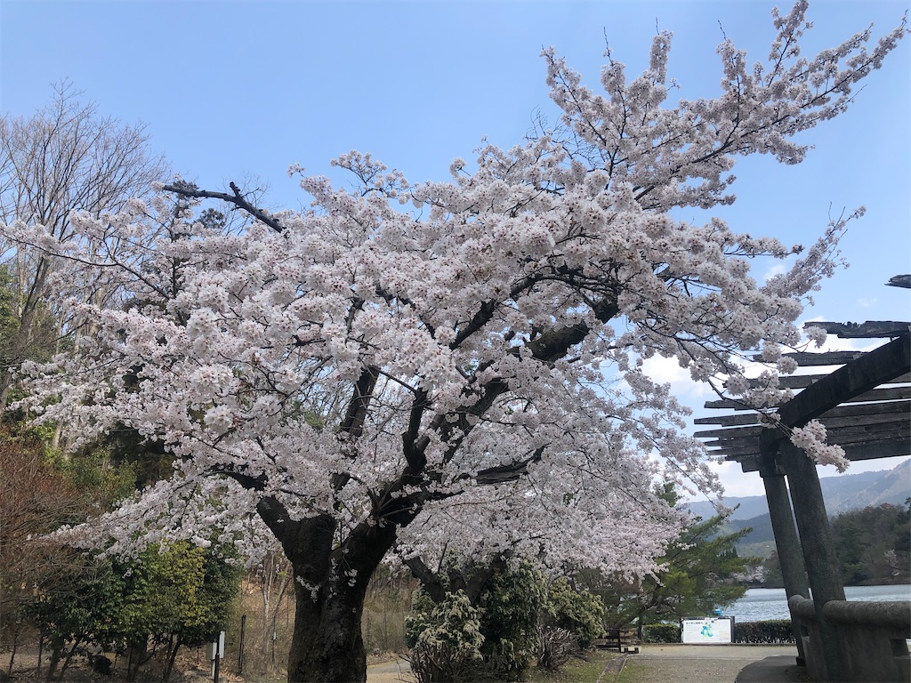 f:id:saotrip:20210326161742j:image f:id:saotrip:20210326161742j:image