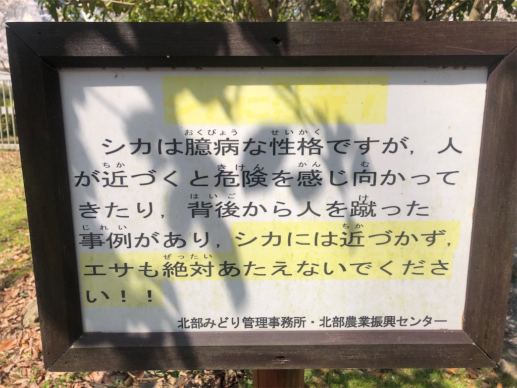 f:id:saotrip:20210326161746j:image f:id:saotrip:20210326161746j:image