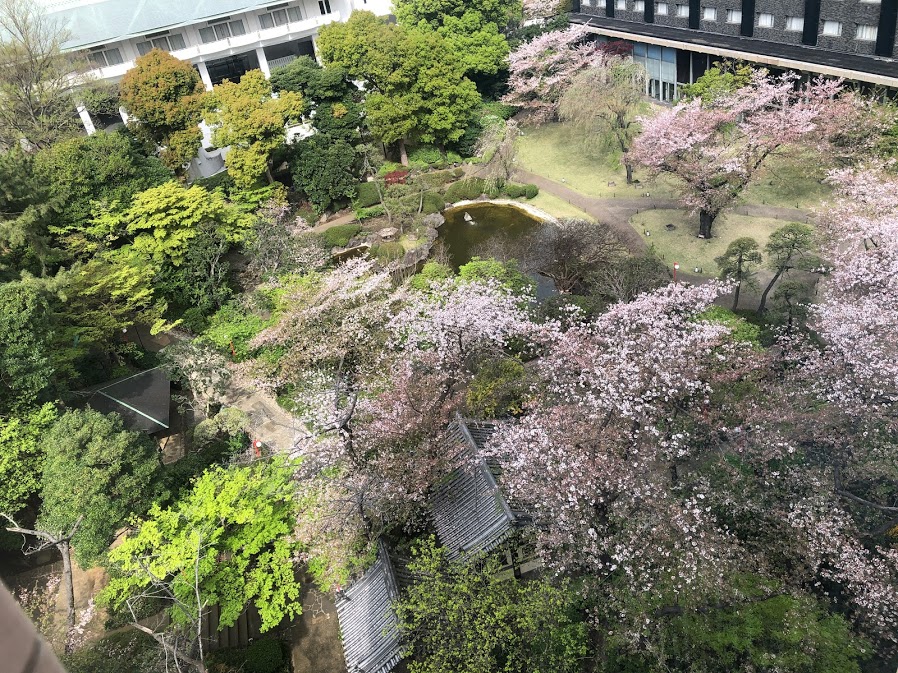 f:id:saotrip:20210422231625j:plain