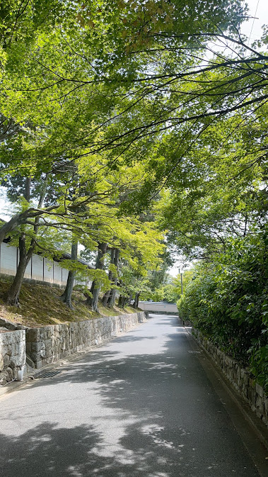 f:id:saotrip:20210507220407j:plain