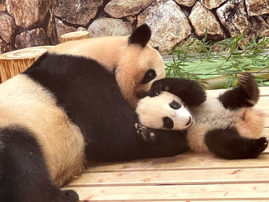 f:id:saotrip:20210516195413j:plain